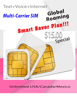 cellular phone plan with international roaming